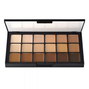 HDFP-10 Diverse Harmony Foundation Palette 2023